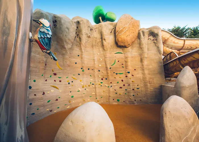 Iberostar Waves Bouganville Playa מלון 4*